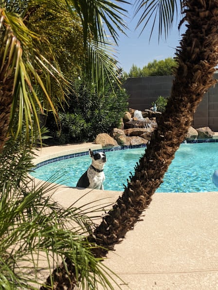 Clean swimming pool maintained by Pacific Beach Pool Cleaning